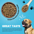 Muenster Ancient Grains Dog Food (4lb) - Ocean Fish Dry Dog Food for Large Dogs – Gluten Free, Non-GMO High Protein