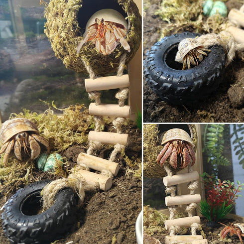 Hermit Crab Moss Coconut Shell Hideout with Climb Ladder,Leopard Gecko Hide Hut with Moss and Sea Shells,Hermit Crab