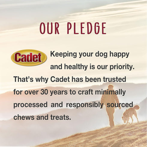 Cadet Gourmet Beef Hide Twist Chew Sticks, Chicken Flavor, Long Lasting & Natural Chew Treats for Dogs (22 Count)