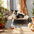 Veehoo Cooling Elevated Dog Bed, Raised Dog Cot for Large Dogs, Durable & Breathable Mesh, Indoor & Outdoor, Beige
