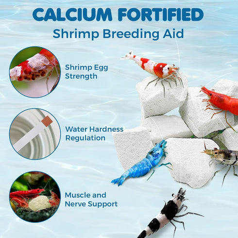 SunGrow Shrimp Rocks, 4 Ounce for Crayfish, Snails, and Ghost Shrimps