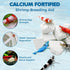 SunGrow Shrimp Rocks, 4 Ounce for Crayfish, Snails, and Ghost Shrimps