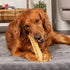 Pet Factory CareChewz Collagen +Plus 9" Rovers Dog Chew Treats - Chicken Flavor, 3 Count/1 Pack