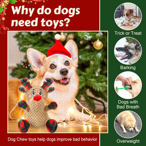 Newget Squeaky Dog Toys, Dog Squeaky Toy with Crinkle Paper, Interactive Durable Plush Dog Chew Toys for Puppy, Small