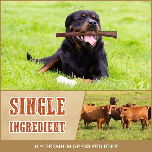 AZRAPAWS 12" 5 Count Standard Bully Sticks for Small, Medium and Large Dogs, Natural Beef Dog Chews Long Lasting, Dog