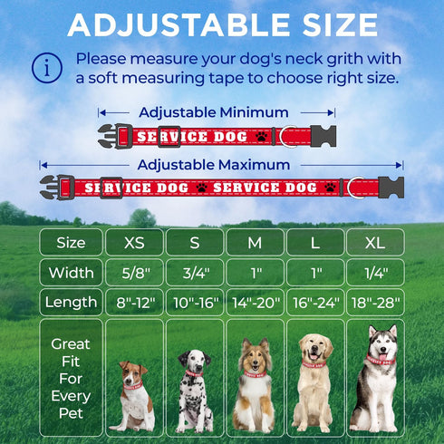 TECEUM Reflective Pet Collar, Red, XS, Extra Soft Padding, Basic Nylon Collar, Quick Release Buckle for Dogs and Cats