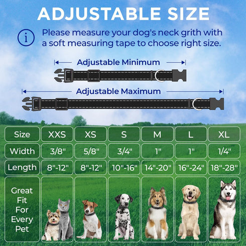 TECEUM Reflective Pet Collar – Basic Nylon Dog Collar – Quick Release Buckle – Black – S – Fits Small, Medium and Large