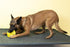 Starmark Treat Ringer FlexGrip UFO - Large Dog Toy