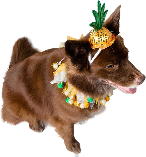 Pet Krewe Pineapple Hat and Collar, Fits Small, Medium, Large, Extra Large Dogs - Perfect for Halloween, Parties, Gifts