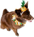 Pet Krewe Pineapple Hat and Collar, Fits Small, Medium, Large, Extra Large Dogs - Perfect for Halloween, Parties, Gifts