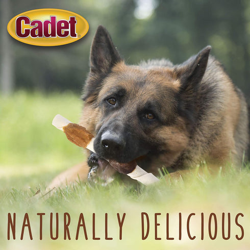 Cadet Gourmet Shish Kabob Dog Treats, Large Dogs, Chicken & Sweet Potato Chew Sticks, Extra Large 10 Inch, 4 Count