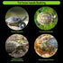 2 Pieces Large Turtle Basking Platform, Transparent Fish Tank Aquarium Platform with Suction Cups