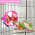 Bird Creative Foraging System Wheel, Seed Food Ball Rotate Training Toy for Small and Medium Parrots, Purple