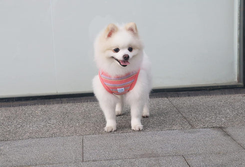 Striped Teacup Pet Dog T-Shirts - 100% Cotton Tank Vest for Small Dogs and Cats, Sleeveless Puppy Clothes, Pink,