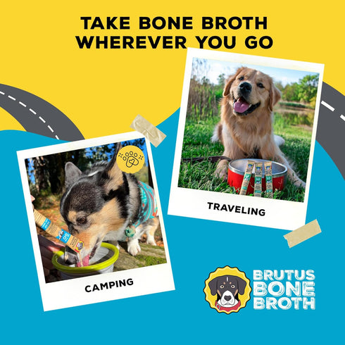 Brutus Bone Broth for Dogs, Bone Broth Powder with Chondroitin Glucosamine & Turmeric, Human Grade Food Toppers (Beef)