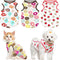 PETCARE 3 Pack Premium Small Dog Shirts, 95% Cotton, Soft Cute Outfits for Small Dogs, Cats, and Puppies