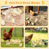 BreezeHug 3 Set Pcs Chicken Roosting Bar Wooden Chick Perch Prevent Rotation Design with Mirror Long Strip Large