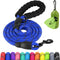 Joytale 6/5/4 FT Reflective Dog Leash, Strong Nylon Braided for Large Medium Dogs with Poop Bags and Dispenser