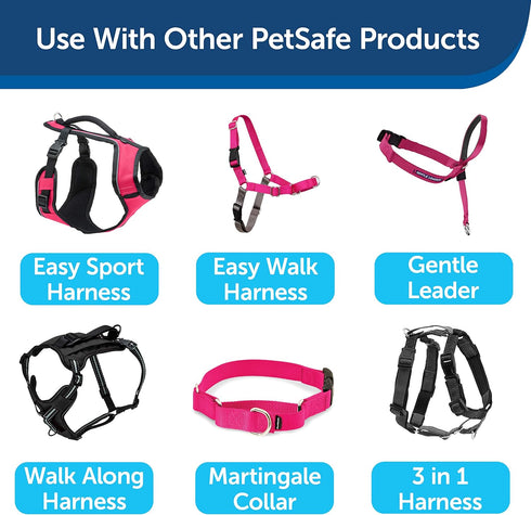 PetSafe Nylon Dog Leash - Strong, Durable Traditional Style with Easy Bolt Snap (3/4 in. x 3 ft., Raspberry Pink)