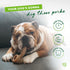 Benebone Medium Ring Durable Dog Chew Toy, Real Bacon, Made in USA