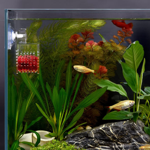 WEAVERBIRD Acrylic V-Shape Cone Red Worm Feeder with Suction Cup for Shrimp Fish Tank Feeding