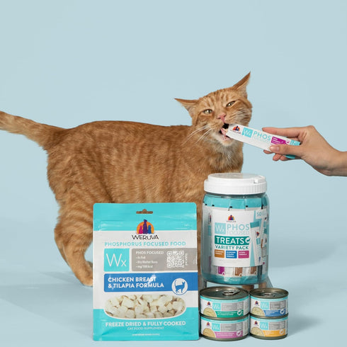 0.5oz Pack 50 Weruva Wx Phos Focused, Tuna Formula Lickable Cat Treats, Tube