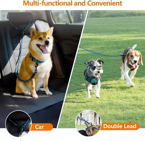 Taglory Double Dog Leash - Reflective Rope, No Tangle Design for Two Dogs, Puppy Small Medium Breeds, Blue