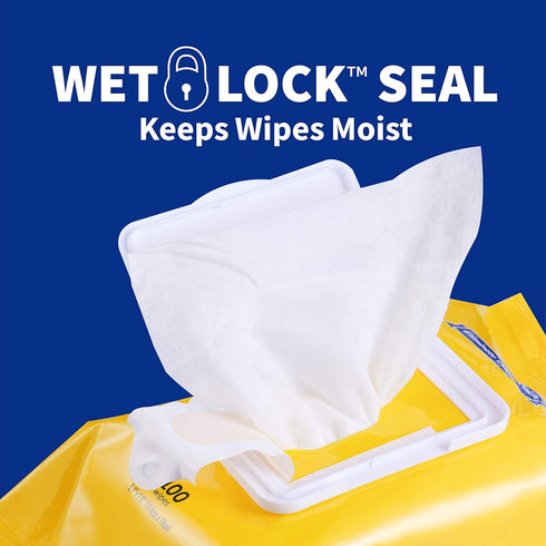 Wet Ones for Pets Desmellizing Dog Wipes, Baking Soda, Tropical Splash Scent, 100 Ct Pouch