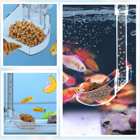Aquarium Fish Shrimp Feeding Dish Set with Clear Feeder Tube, Cleaning Brush, and Measuring Spoon