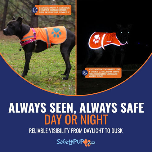 Reflective Dog Vest, Hi-Visibility Fluorescent Blaze Orange Vest to Protect Your Dog from Motorists & Hunting Accidents