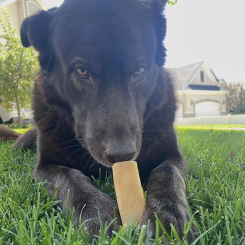 Pupford Yak Cheese Himalayan Dog Chews | Durable & Long-Lasting Chews for Aggressive Chewers