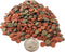 Aquatic Foods Inc. 8mm - 1/3" Brine Shrimp/Red Algae Color Enhancing & Spirulina/Green Algae Sinking
