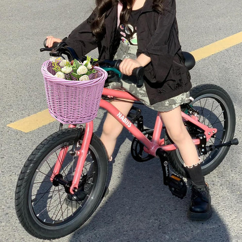 Willow Bike Basket, Little Box for Bicycle, Arts and Crafts Storage