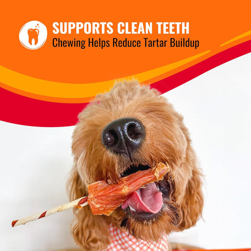 8 Count GOOD 'N' FUN Triple Flavor Wraps with Beef Tendon Chews, High-Protein Dog Treat for All Adult Dogs, Made