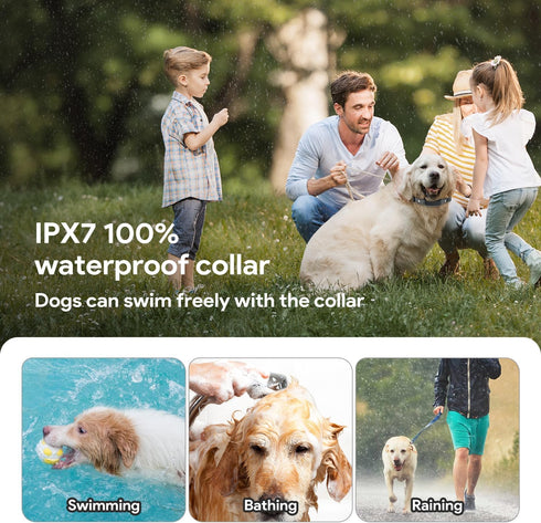 Collar Replacement Belt, 2-Pack Reflective Nylon Adjustable Strap, Durable Shock Collar Replacement for Dogs