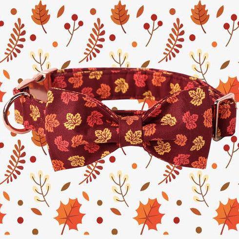 Maca Bates Fall Dog Collar with Bow Bowtie for Dogs Bows Tie Autumn Leaves Adjustable Breakaway Collars Accessories Birthday Gift for Small Medium Large XL Girl Boy Puppy Pets