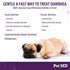 Pet MD Stool-Fix - 100g Powdered Clay Anti Diarrhea Treatment for Dogs & Cats, Promotes Normal Stool Relief