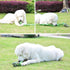 SHARLOVY Extra Large Durable Dog Toy for Large Dogs, 5-Knot Rope Tug, Indestructible Cotton Rope