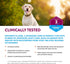 NaturVet ArthriSoothe-Gold Level 3 Joint Care for Dogs, Soft Chew Supplement with Glucosamine, 180 Ct.