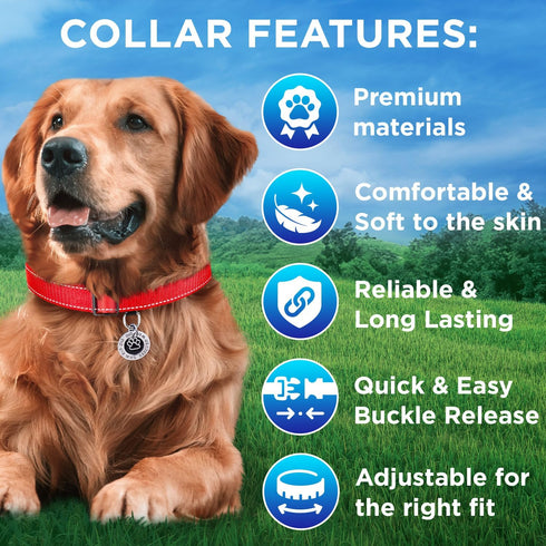 TECEUM Reflective Pet Collar – Basic Nylon Dog Collar – Quick Release Buckle – Red – M – Fits Small, Medium and Large
