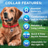 TECEUM Reflective Pet Collar – Red – XS – Extra Soft Padding – Basic Nylon Dog Collar – Quick Release Buckle – Fits