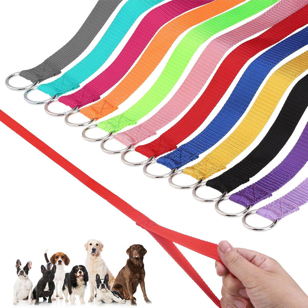 HOMIMP Slip Lead Dog Leash, 6 FT, 24 PCS Bulk Colors, Heavy Duty Nylon for Small Medium Large Dogs, Training