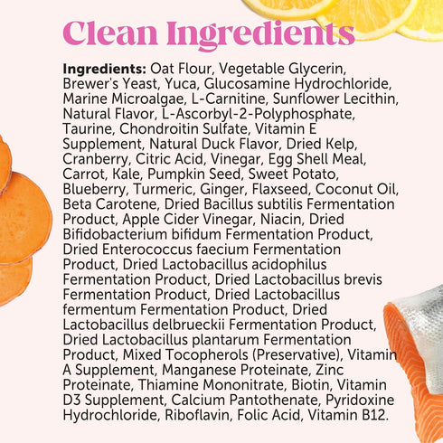 Senior Dog Multivitamin - Essential Vitamins and Supplements for Dogs Health & Heart - Duck 90 ct