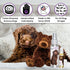 The Blissful Dog Labradoodle Relax Aromatherapy Spray for Your Dog's Anxiety