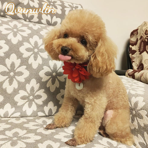 8pcs Flower Dog Collar Charms, Mulit Color Rhinestone Dog Collar Bow Ties for Puppy Cat Dog Grooming Accessories
