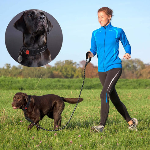 Heavy Duty Dog Leash, 5 ft Long - Comfortable Padded Handle - Dog Leashes for Small Medium Large Dogs (Black,
