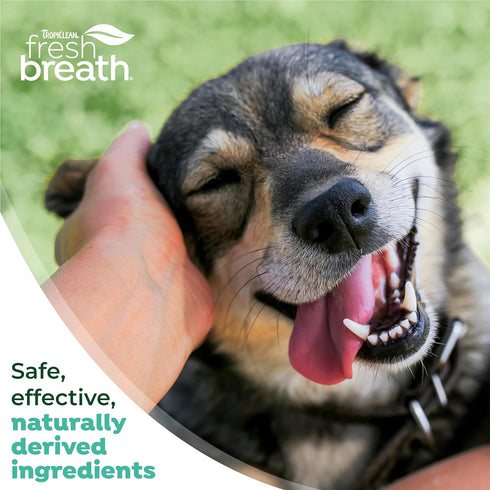TropiClean Fresh Breath Toothbrush and Toothpaste Kit for Dogs, Teeth Cleaning Kit for Plaque & Tartar Removal, Breath