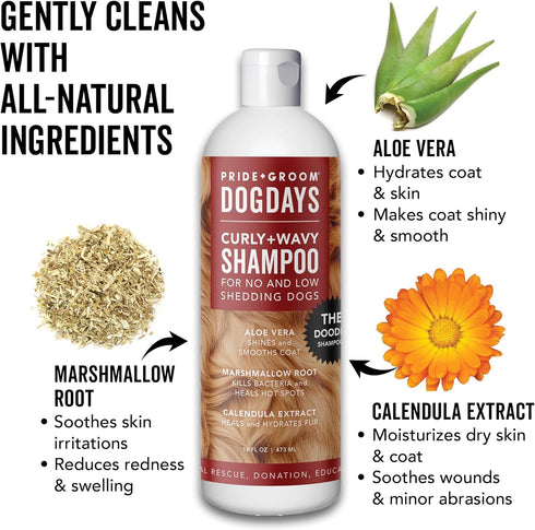 Pride and Groom DogDays Curly + Wavy The Scrub Kit - Natural Dog Shampoo with Silicone Scrubber Gloves for Low