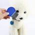 Flea Comb 4Pcs with High Strength Teeth, Pet Dog Cat Grooming Comb Set for Tear Stain Remover