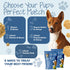 DAWG'S CHOICE Soft & Chewy Dog Treats, Peanut Butter & Honey Snacks for Dogs, Dog Treats Made in USA, Human Grade
